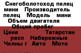 Снегоболотоход пелец мини › Производитель ­ пелец › Модель ­ мини 2 › Объем двигателя ­ 690 › Общий пробег ­ 10 › Цена ­ 380 000 - Татарстан респ., Набережные Челны г. Авто » Мото   